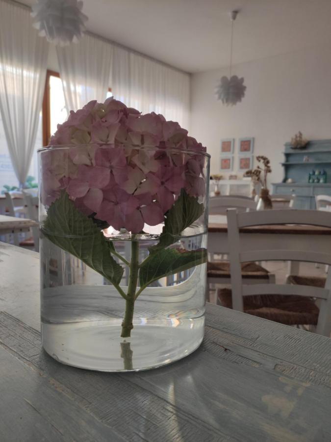 Hotel Imperia Marciana Marina  Eksteriør billede